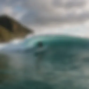 Surf Conditions in Real Time Surfboard enthusiasts monitoring surf conditions using Windyty