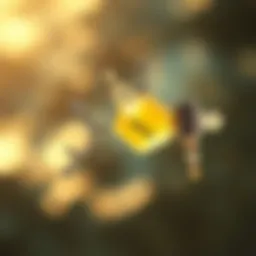 Chemical structure of harmful sunscreen ingredients