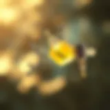 Chemical Composition of Sunscreens Chemical structure of harmful sunscreen ingredients