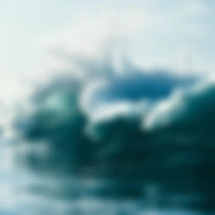 Future of Sustainable Wave Energy Systems Future outlook of sustainable wave energy systems