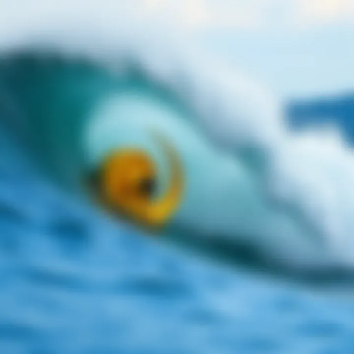 Wave Energy Conversion Principles Illustration of wave energy conversion principles