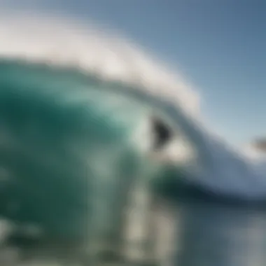 Surfer executing a maneuver while riding a fish surfboard on a wave