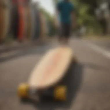 Diverse longboard types displayed for selection