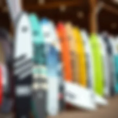 A collection of popular intermediate wakesurf board brands displayed
