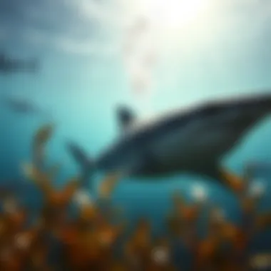 Sharks within Ocean Ecosystems A captivating view of sharks interacting within their natural habitat
