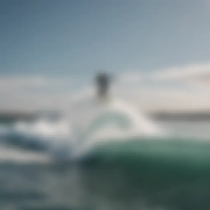 A group of jet surfers celebrating their experience at a vibrant beach.