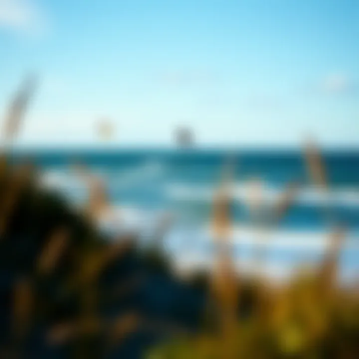 A scenic view of the Outer Banks with ideal wind conditions for kitesurfing