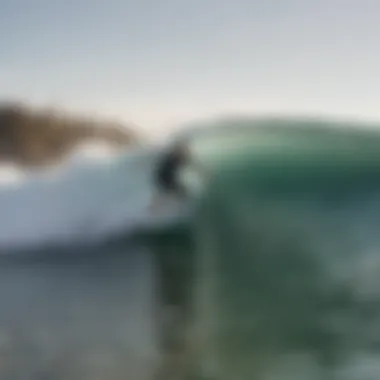 Surfing enthusiast riding a wave in La Jolla