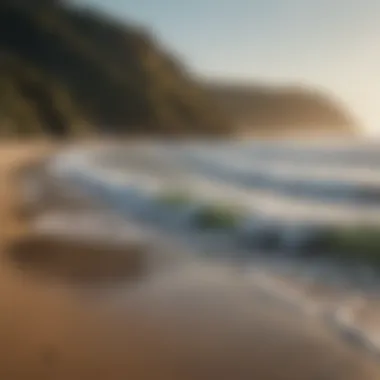 Connection with the Surfer's Environment A serene beach scene illustrating the connection between surfers and their environment.