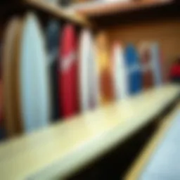 Different types of longboards displayed together