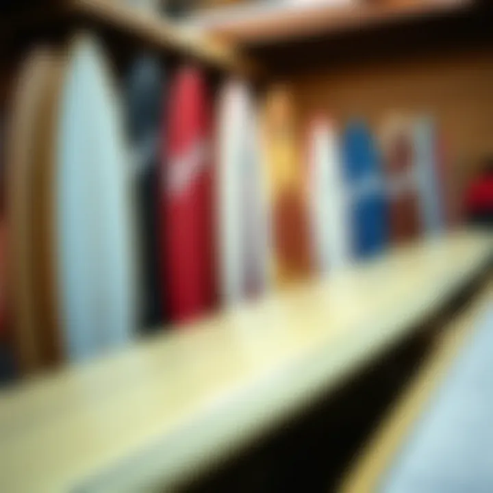 Exploring Longboard Variations Different types of longboards displayed together