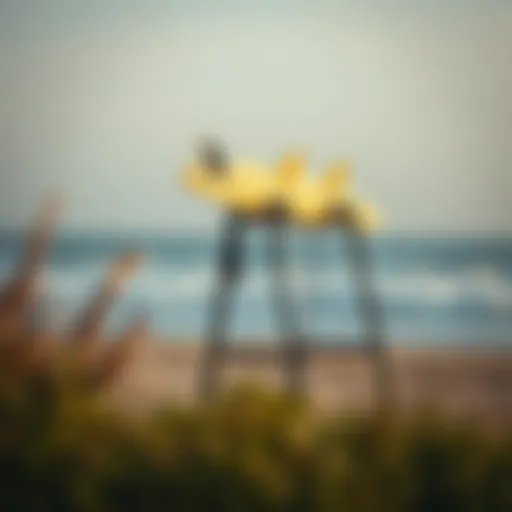 Longboard Surf Racks: A Comprehensive Guide Introduction