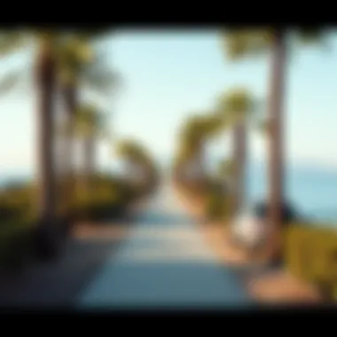 Coastal Pathway at Malibu A picturesque coastal pathway lined with palm trees, offering an inviting route for visitors exploring Malibu Beach.