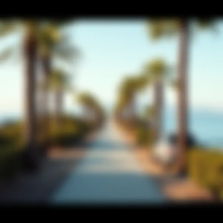 Coastal Pathway at Malibu A picturesque coastal pathway lined with palm trees, offering an inviting route for visitors exploring Malibu Beach.
