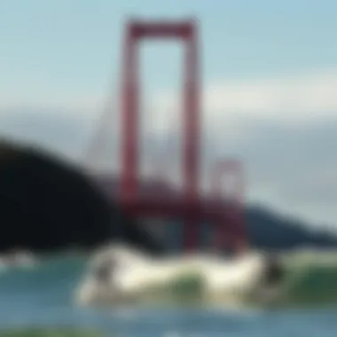 Golden Gate Bridge with surfers in the foreground