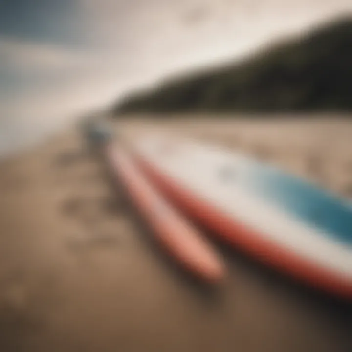 Surfboards lined up on the sandy beach