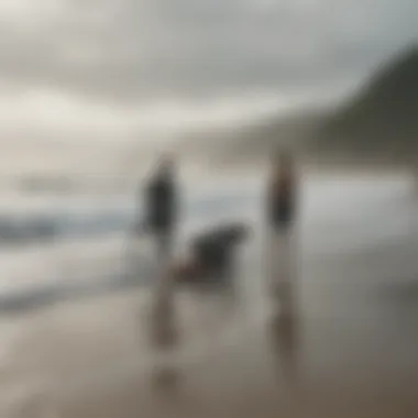 Group of surfers sharing a moment in a misty environment