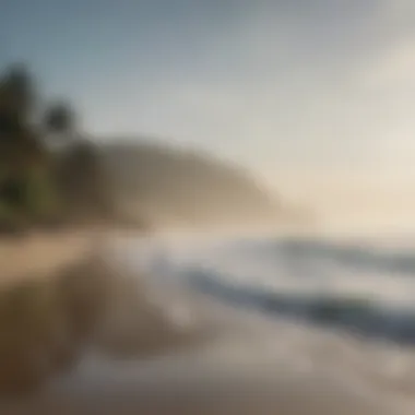 Tranquility on the Misty Shore A tranquil beach scene enveloped in mist