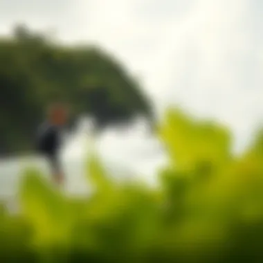 Surfers preparing to hit the water with a backdrop of lush greenery