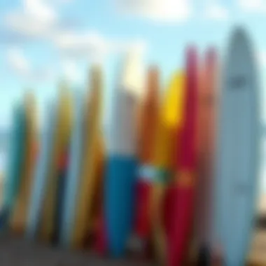 A variety of surfboards lined up for rental on a beach