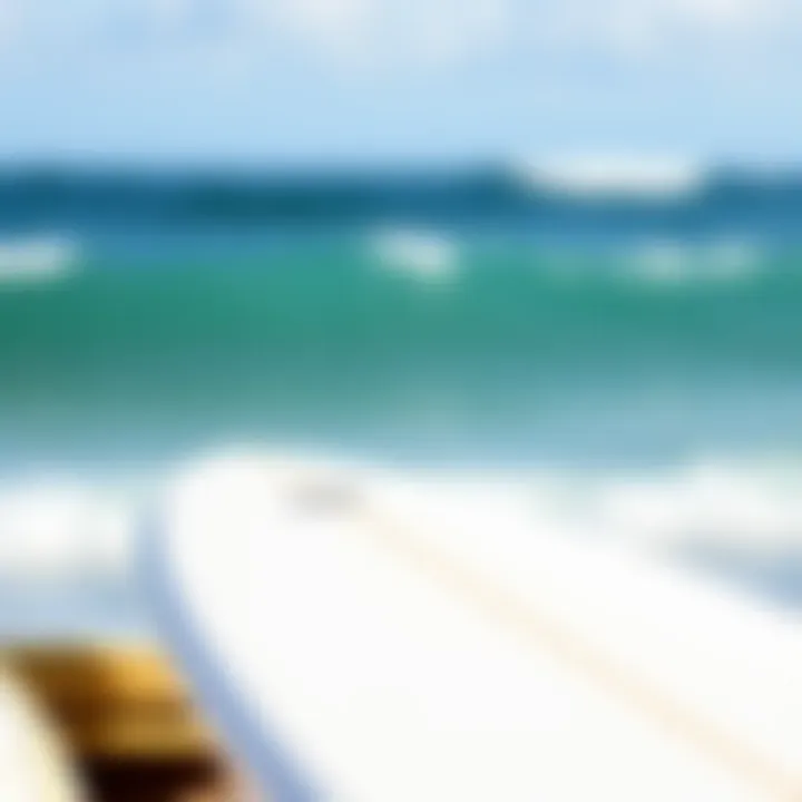 Surfboard selection for novice surfers