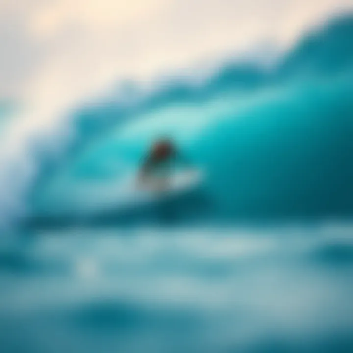 Ecological impact of surfing on marine life