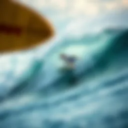 Dynamic surf scene showcasing NSP surfboards in action