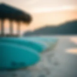 A tranquil beach view with surfboards lined up
