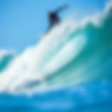 Impact of pollution on ocean ecosystems