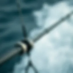 Close-up of Ocean Master surf casting rod showcasing its intricate design