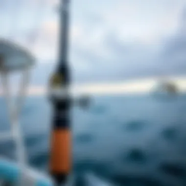 User Insights on Ocean Master Rod User feedback and reviews for Ocean Master surf casting rod