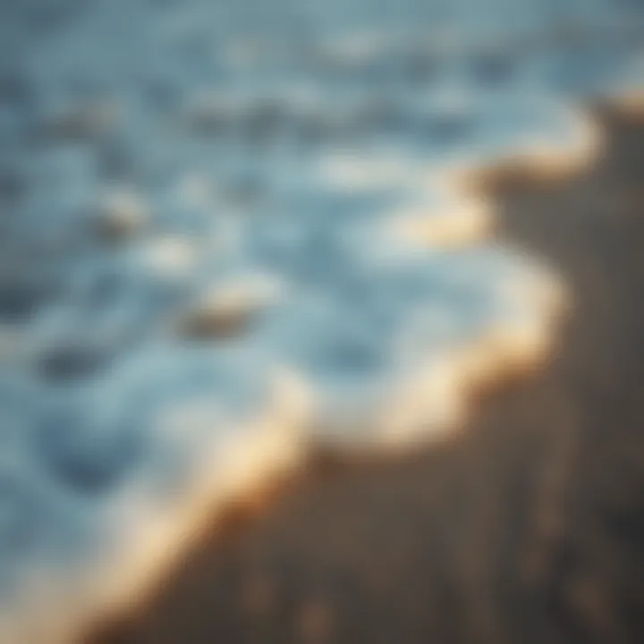 Close-up of ocean foam on a sandy beach