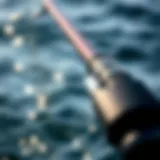 Close-up of Offshore Angler Ocean Master surf casting rod featuring ergonomic grip