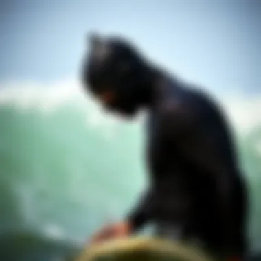 Wetsuit Care and Maintenance Tips Wetsuit maintenance tips illustrated