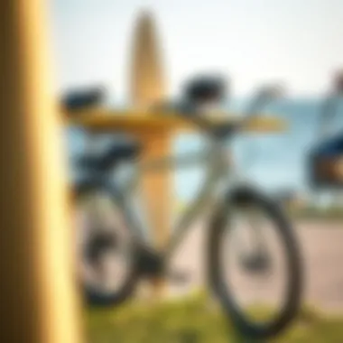 Sustainable materials used in surfboard bike racks