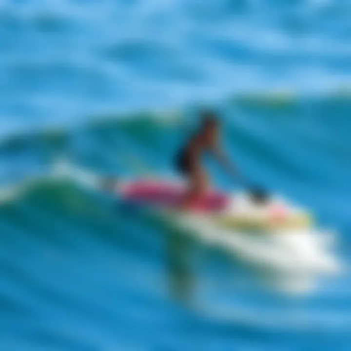 Diagram illustrating speed variations among paddle boards