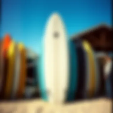 Surfboard lineup at Pismo Beach ready for action