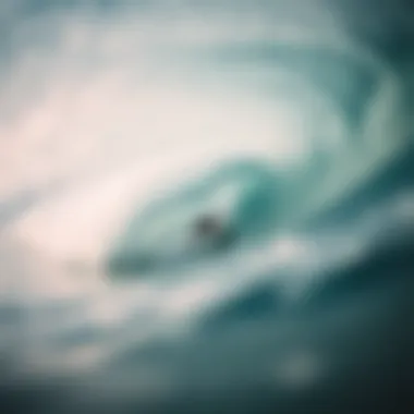 Mastering the Barrel: A Surfer's Dream in El Salvador A surfer navigating through perfect barrel waves at a famous surf spot