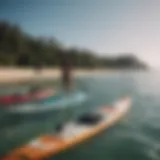 Different lengths of paddle boards displayed