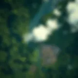 Aerial View of Deforestation Aerial view of deforestation