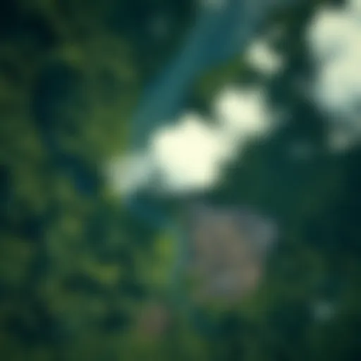 Aerial View of Deforestation Aerial view of deforestation