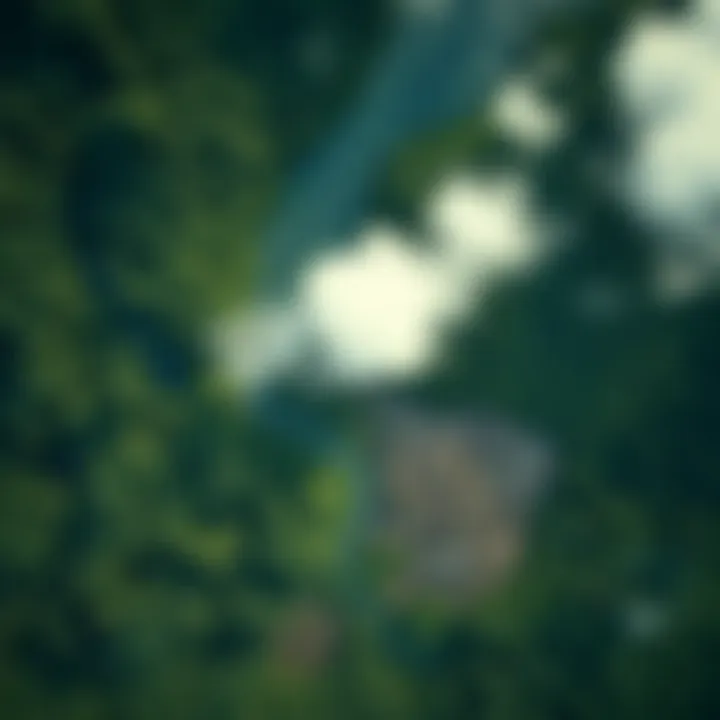 Aerial View of Deforestation Aerial view of deforestation