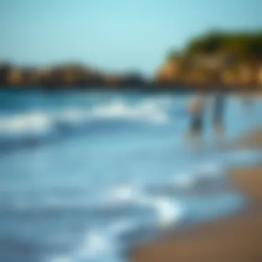 Ecological Balance in Surf Fishing A serene beach scene illustrating the ecological balance of surf fishing