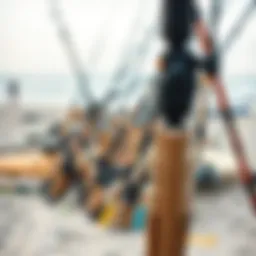 A diverse selection of surf fishing rods displayed on a sandy beach