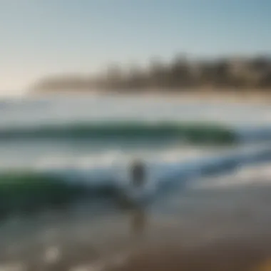 A diverse group of surfers enjoying a day on the waves.