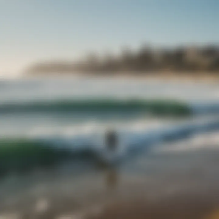 A diverse group of surfers enjoying a day on the waves.