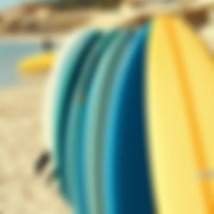 Surfboards lined up on the sandy beach