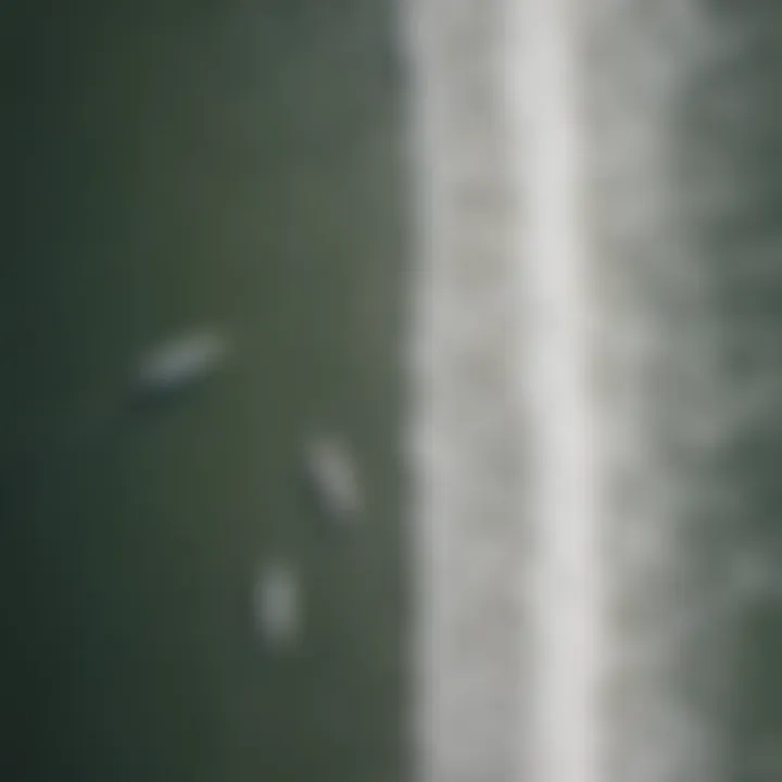 Aerial view of surfers riding waves at Pacifica beach