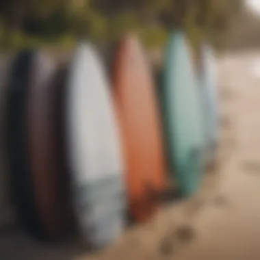 Diverse Surfboard Carry Bags A variety of surfboard carry bags showcasing different types and designs