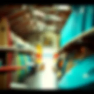 Surfboard rental shop interior showcasing options